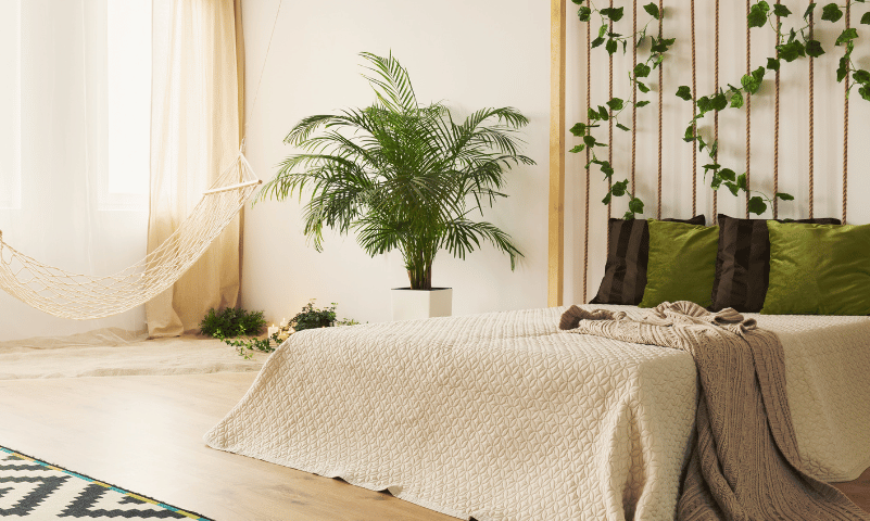 colores tendencia verano